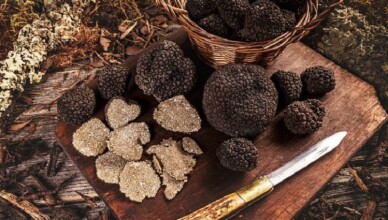 TARTUFO