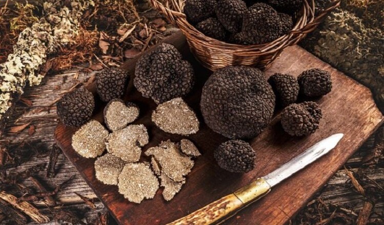 TARTUFO