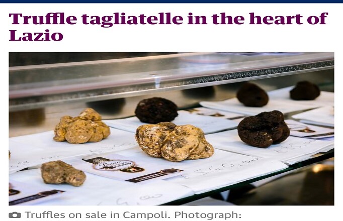 The Guardian campoli