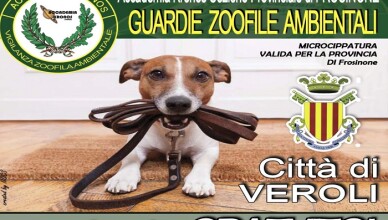 VEROLI - CAMPAGNA MICROCHIP GRATUITO
