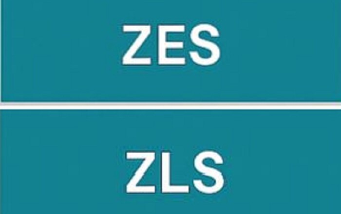 zes zls