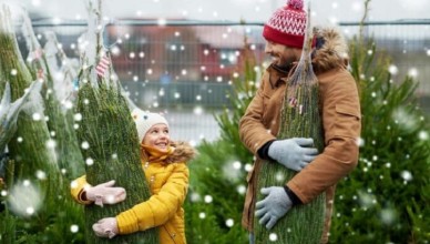 Albero di Natale naturale o artificiale