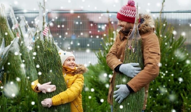 Albero di Natale naturale o artificiale