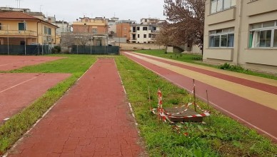 istituto Volpi