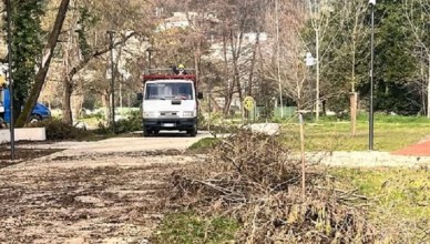 CRITICITà VILLA COMUNALE CASSINO