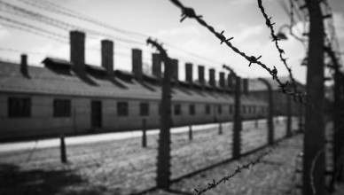 Giorno della Memoria 2026