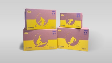 Scatole Poste Italiane MiCo26