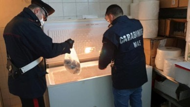 carabinieri nas ciociaria