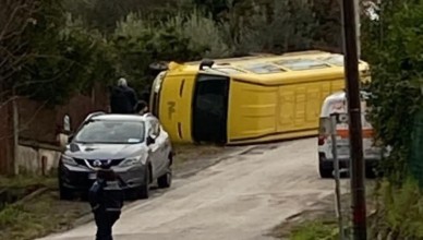 cervatoscuolabussiribalta