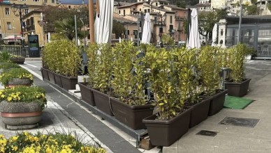 Screenshot_2026-02-10-18-46-20-386_com.facebook.katana-edit