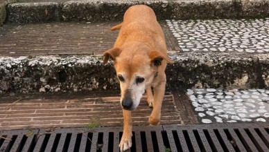 Screenshot_2026-02-12-12-51-50-578_com.facebook.katana-edit