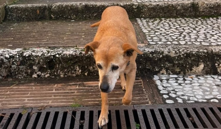 Screenshot_2026-02-12-12-51-50-578_com.facebook.katana-edit