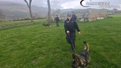 arresto per detenzione di droga ai fini di spaccio anagni