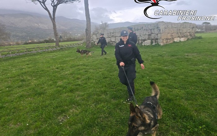 arresto per detenzione di droga ai fini di spaccio anagni