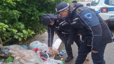 pdsgermano 𝗥𝗔𝗖𝗖𝗢𝗟𝗧𝗔 𝗗𝗜𝗙𝗙𝗘𝗥𝗘𝗡𝗭𝗜𝗔𝗧𝗔 c𝗢𝗡𝗧𝗥𝗢𝗟𝗟𝗜, 𝗥𝗜𝗦𝗨𝗟𝗧𝗔𝗧𝗜