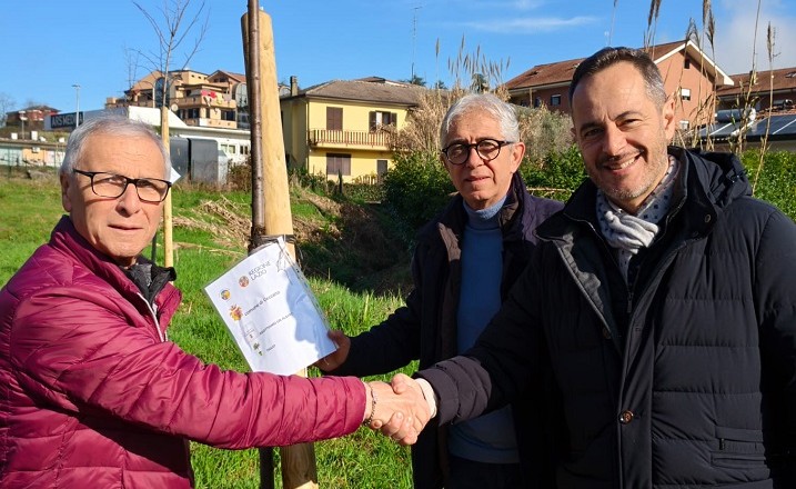 piantumazione di quattro Tigli e un Prunus ceccano