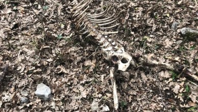 Screenshot_2026-03-07-11-39-23-137_com.facebook.katana-edit