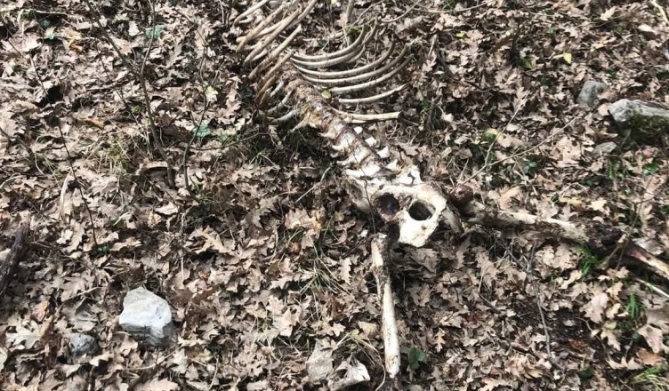 Screenshot_2026-03-07-11-39-23-137_com.facebook.katana-edit