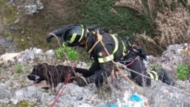 Screenshot_2026-03-07-20-18-44-778_org.telegram.messenger-edit