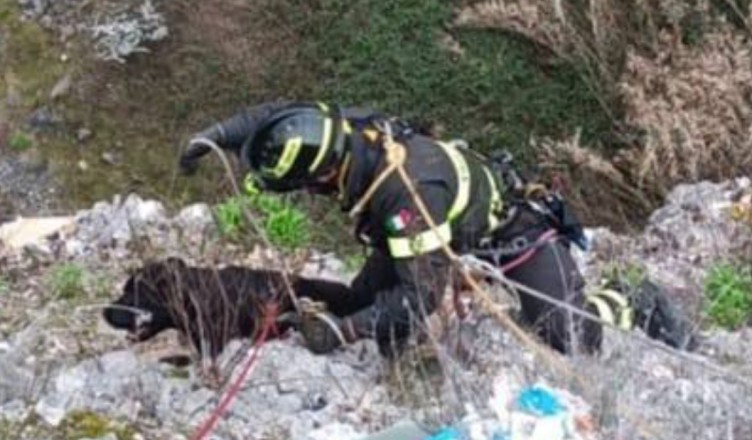 Screenshot_2026-03-07-20-18-44-778_org.telegram.messenger-edit