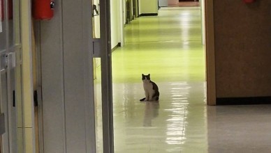 Screenshot_2026-03-11-18-32-26-746_com.facebook.katana-edit