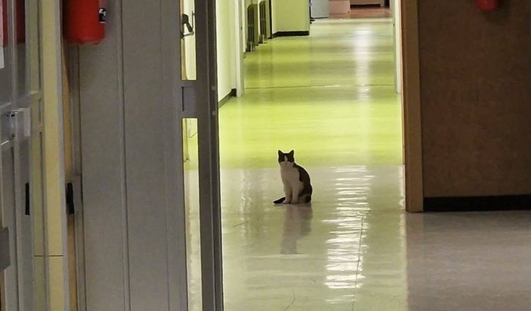 Screenshot_2026-03-11-18-32-26-746_com.facebook.katana-edit