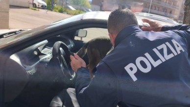 Screenshot_2026-03-12-14-10-11-120_com.facebook.katana-edit