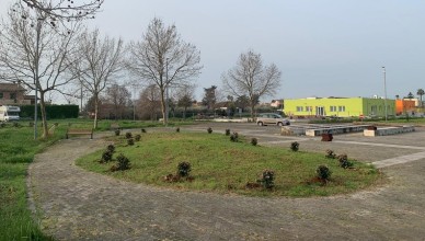 cisterna alberi piantumazione piazza Nassiriya