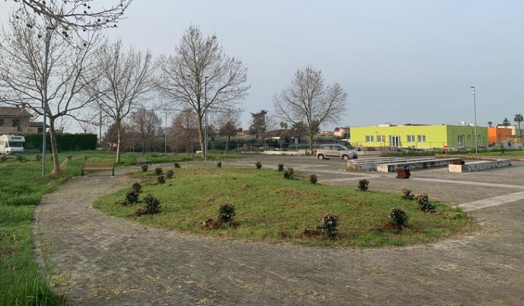 cisterna alberi piantumazione piazza Nassiriya