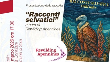 racconti selvatici.