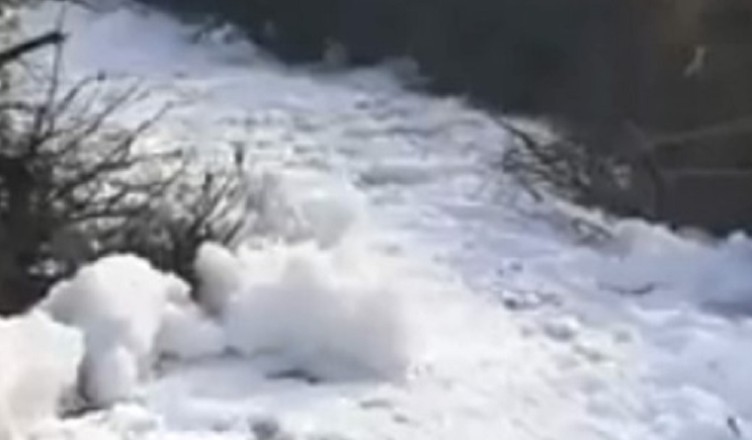 Fiume Sacco avvelenato