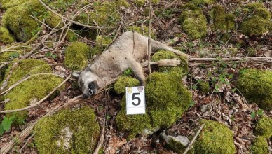 Screenshot_2026-04-16-13-10-51-983_com.facebook.katana-edit