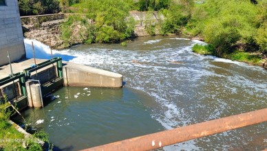 Sgurgola Fiume Sacco inquinato