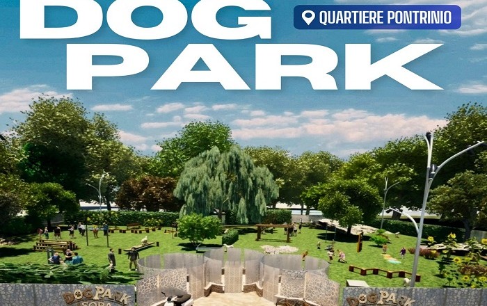 dog park