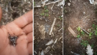 Patrica, piombo detonato in quantità nell’areale Macchia Piana