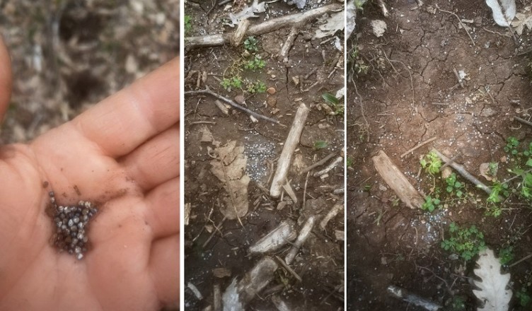 Patrica, piombo detonato in quantità nell’areale Macchia Piana